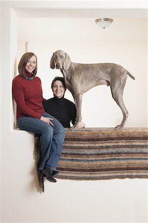 A same sex couple, two women posing with their Weimaraner pedigree dog. Stock Photo - Premium Royalty-Free, Code: 6118-07440851