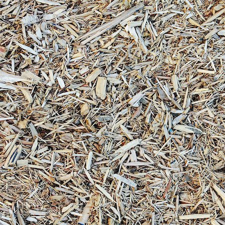 simsearch:6118-07351309,k - Close up of bark wood chips used for landscaping, near Quincy Photographie de stock - Premium Libres de Droits, Code: 6118-07440980