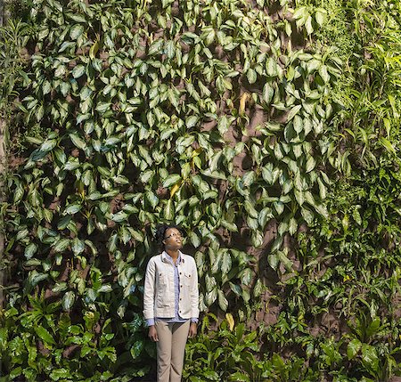 simsearch:6118-07441049,k - A woman looking up at a high wall covered in climbing plants and foliage. Foto de stock - Sin royalties Premium, Código: 6118-07441043
