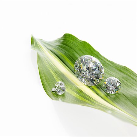 A leaf with a stripe marking with small glass reflective objects, or gems, gem cut sparkling. Photographie de stock - Premium Libres de Droits, Code: 6118-07439830