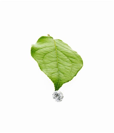 A single leaf with veins, and a small clear glass bead or objects, with facets which reflect light. Photographie de stock - Premium Libres de Droits, Code: 6118-07439835