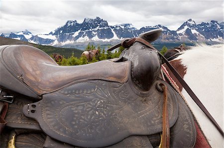 riding tack - Horses, Jasper National Park, Alberta, Canada Stock Photo - Premium Royalty-Free, Code: 6118-07439978