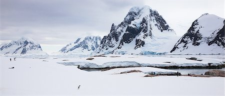 penguin on mountain - Penguins and people, Antarctica Photographie de stock - Premium Libres de Droits, Code: 6118-07439921