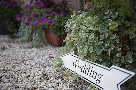 Directional sign to a wedding, on a gravel  path. Stock Photo - Premium Royalty-Free, Code: 6118-07521743