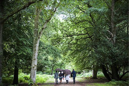 A group of people holding umbrellas, walking along a path through woodland and mature trees in leaf. Foto de stock - Sin royalties Premium, Código: 6118-07521745