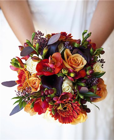 A bride holding a bridal bouquet of colourful red and orange flowers with purple toned leaves. Photographie de stock - Premium Libres de Droits, Code: 6118-07521749