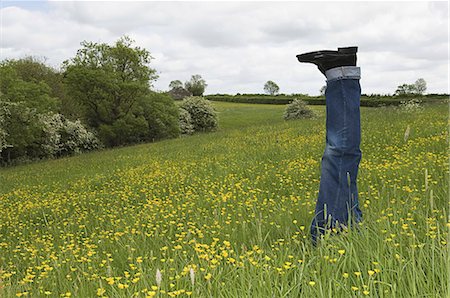 simsearch:6118-07521749,k - A person lying in a flower meadow, with legs upright in the air. Photographie de stock - Premium Libres de Droits, Code: 6118-07521854