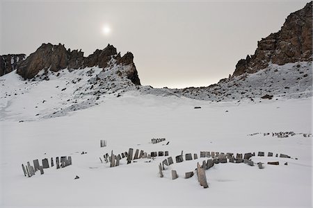 simsearch:6118-07731838,k - The wooden slats of water barrels sticking out of the snow at the former whaling station. Photographie de stock - Premium Libres de Droits, Code: 6118-07731841