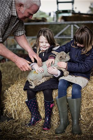 simsearch:6118-08081878,k - Children and new-born lambs in a lambing shed. Stock Photo - Premium Royalty-Free, Code: 6118-07731815