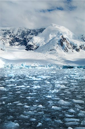 simsearch:6118-07731844,k - Mountains and snowy landscape reflected in calm sea water. Ice floes on the water. Photographie de stock - Premium Libres de Droits, Code: 6118-07731836