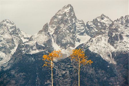 A snow covered mountain range in the Grand Teton national park. Stock Photo - Premium Royalty-Free, Code: 6118-07731947