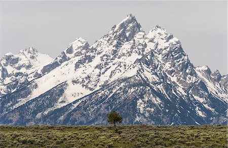 A snow covered mountain range in the Grand Teton national park. Stock Photo - Premium Royalty-Free, Code: 6118-07731948