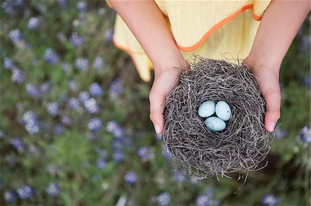 simsearch:6118-07731949,k - A young girl holding out a woven bird nest with three small eggs. Photographie de stock - Premium Libres de Droits, Code: 6118-07731983