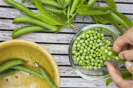 Bowl of freshly picked peas. Stock Photo - Premium Royalty-Free, Code: 6118-07808971