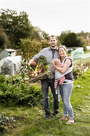 self sufficient - Allotment, England Stock Photo - Premium Royalty-Free, Code: 6118-07913350