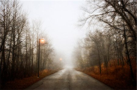 fluorescente - Misty path, Saskatchewan, Canada Foto de stock - Sin royalties Premium, Código: 6118-07913371