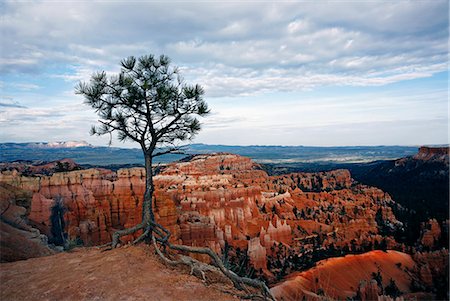 Bryce Canyon, Utah, USA Foto de stock - Sin royalties Premium, Código: 6118-07913374