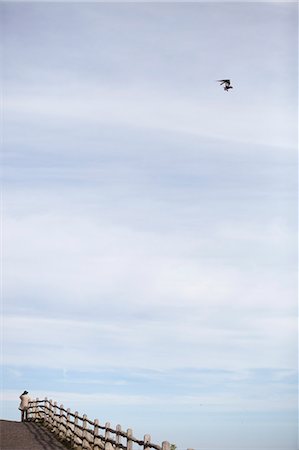 distanz (entfernung) - An elderly man standing on the seafront looking up at a microlight aircraft. Stockbilder - Premium RF Lizenzfrei, Bildnummer: 6118-08088553