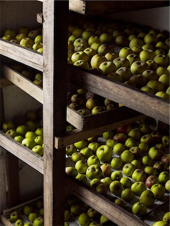 Green apples arranged in rows for over-winter storage on wooden shelves. Stock Photo - Premium Royalty-Free, Code: 6118-08023765