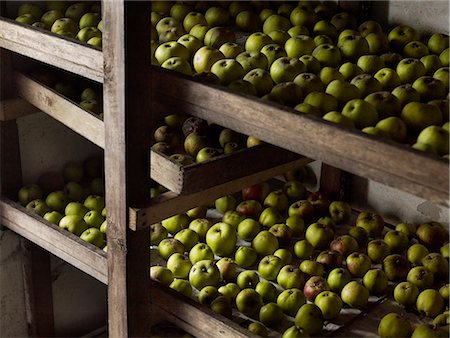 farm stand - Green apples arranged in rows for over-winter storage on wooden shelves. Photographie de stock - Premium Libres de Droits, Code: 6118-08023766