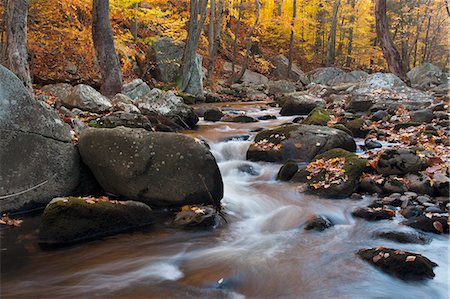 Rocky stream in a forest with autumn leaves and foliage in New York State. Photographie de stock - Premium Libres de Droits, Code: 6118-08140255
