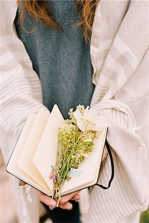 simsearch:6118-08140206,k - Close up of a woman holding a notebook with wild flowers lying between the pages. Foto de stock - Royalty Free Premium, Número: 6118-08140220