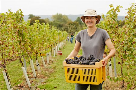 portraits start up - A grape picker in a wide brimmed hat, carrying a plastic crate of picked red grapes Stock Photo - Premium Royalty-Free, Code: 6118-08282198