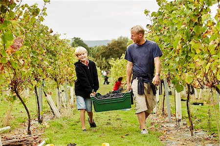 simsearch:6118-08842107,k - A man and his son carrying a plastic crate full of grapes through the vineyard. Stock Photo - Premium Royalty-Free, Code: 6118-08282208