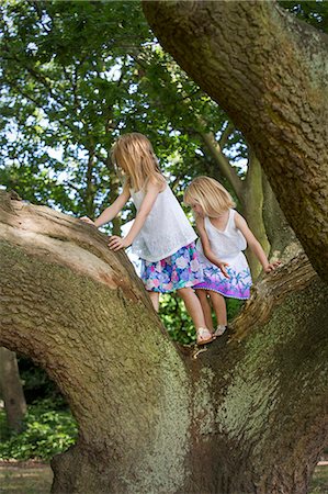 Two girls climbing a tree in a forest. Stock Photo - Premium Royalty-Free, Code: 6118-08282318