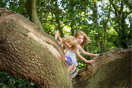 Two girls climbing a tree in a forest. Stock Photo - Premium Royalty-Free, Code: 6118-08282319