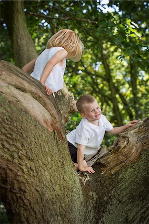 Young boy and girl climbing a tree in a forest. Stock Photo - Premium Royalty-Free, Code: 6118-08282320