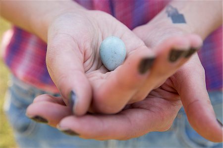 Close up of a woman's hands holding a small blue bird's egg. Stock Photo - Premium Royalty-Free, Code: 6118-08220575