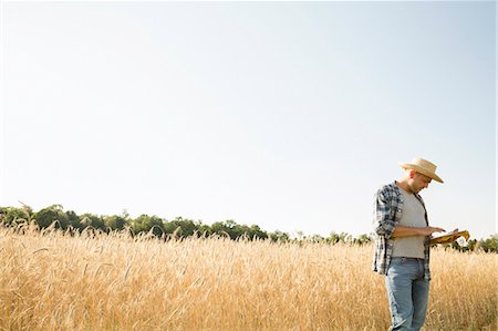 Man wearing a checked shirt and a hat standing in a cornfield, a farmer using a digital tablet. Stock Photo - Premium Royalty-Free, Code: 6118-08220589