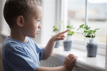 simsearch:6118-08660001,k - A young boy looking at young plants in pots growing on a windowsill. Stock Photo - Premium Royalty-Free, Code: 6118-08351997