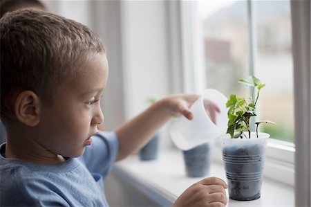 simsearch:6118-08660001,k - A young boy looking at young plants in pots growing on a windowsill. Stock Photo - Premium Royalty-Free, Code: 6118-08351998