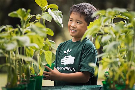 simsearch:6118-07966899,k - A boy with young plants in a plant nursery. Stock Photo - Premium Royalty-Free, Code: 6118-08488309