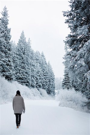 simsearch:6118-08140252,k - A woman walking in snow through a pine forest. Foto de stock - Sin royalties Premium, Código: 6118-08521812