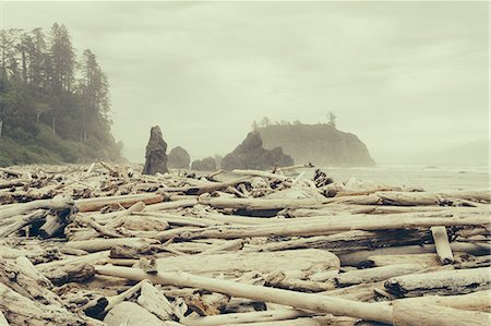 ruby beach - View of coastline from Ruby Beach, piles of driftwood in foreground. Foto de stock - Sin royalties Premium, Código: 6118-08659926