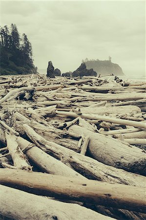 ruby beach - View of coastline from Ruby Beach, piles of driftwood in the foreground. Olympic National park. Foto de stock - Sin royalties Premium, Código: 6118-08659928