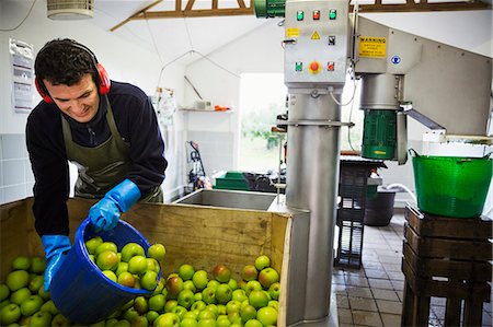 A man scooping fresh green whole apples in a bucket to load the scratter or grating machine. Photographie de stock - Premium Libres de Droits, Code: 6118-08797689