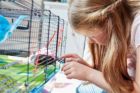 A girl looking into a pet cage at her small brown hamster. Foto de stock - Sin royalties Premium, Código: 6118-08797624