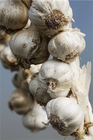 simsearch:6118-08725637,k - Garlic bulbs plaited by their stems, hanging up. Stock Photo - Premium Royalty-Free, Code: 6118-08725642