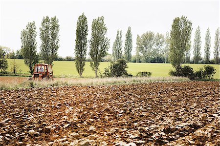 ploughed field england - A ploughed field, and a tractor on the move. A row of poplar trees. Stock Photo - Premium Royalty-Free, Code: 6118-08725629