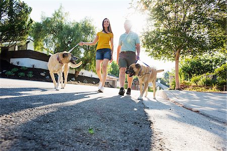 senior couple with pet - Senior couple wearing shorts walking their dogs along a street in the sunshine. Stock Photo - Premium Royalty-Free, Code: 6118-08725784
