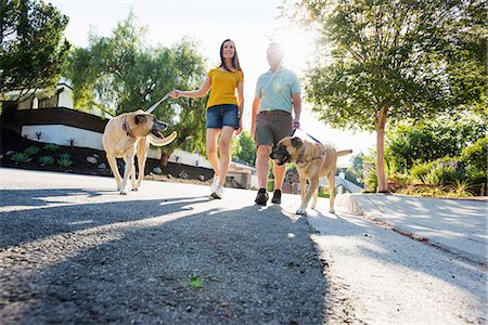 simsearch:6118-09039292,k - Senior couple wearing shorts walking their dogs along a street in the sunshine. Foto de stock - Sin royalties Premium, Código: 6118-08725784