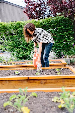 platebandes de fleur - Woman with long brown hair working in a garden, watering seedlings in a bed. Photographie de stock - Premium Libres de Droits, Code: 6118-08729174