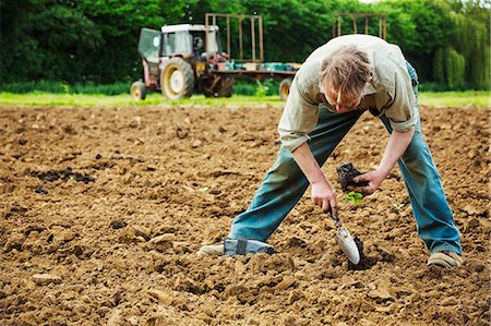 simsearch:6118-07352713,k - A man bending, using a trowel, planting a small seedling in the soil. Photographie de stock - Premium Libres de Droits, Code: 6118-08729240