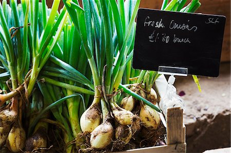 small business in vegetable - Organic onions being sold in a farm shop. Stock Photo - Premium Royalty-Free, Code: 6118-08729244