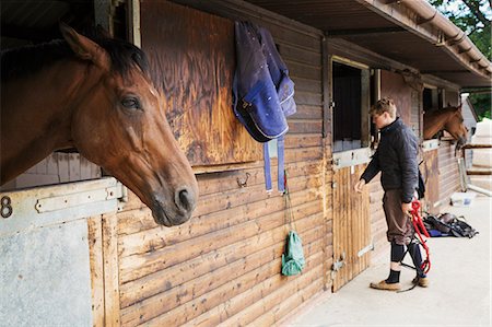 stable door - Man wearing riding gear standing by a box stall at a stable. A horse looking out of the stable. Stock Photo - Premium Royalty-Free, Code: 6118-08882886