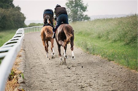 pferd (tier) - Two horses and riders on a gallops path, racing against each other in a training exercise. Racehorse training. Stockbilder - Premium RF Lizenzfrei, Bildnummer: 6118-08882899